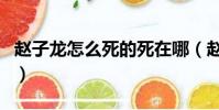 赵子龙怎么死的死在哪(赵云是哪一年去世的)