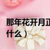那年花开月正圆结局（那年花开月正圆结局是什么）
