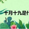 十月十九是什么星座（十月十九日的星座介绍）