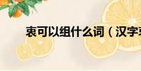 衷可以组什么词(汉字衷怎么组词)