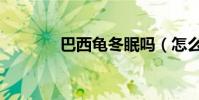 巴西龟冬眠吗(怎么冬眠的)