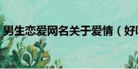 男生恋爱网名关于爱情(好听男生恋爱网名)