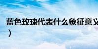 蓝色玫瑰代表什么象征意义(蓝色玫瑰的意义)