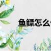 鱼鳔怎么做好吃（鱼鳔好吃的做法）