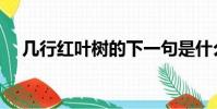 几行红叶树的下一句是什么(作者是谁)