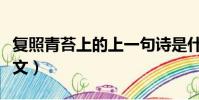 复照青苔上的上一句诗是什么(复照青苔上原文)