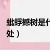 蚍蜉撼树是什么意思（蚍蜉撼树成语用法和出处）