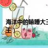 海洋中的瞌睡大王是什么动物（什么动物是海洋中的瞌睡大王）