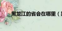 黑龙江的省会在哪里(黑龙江介绍)