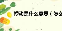悸动是什么意思(怎么理解悸动)
