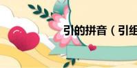 引的拼音(引组词)
