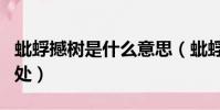 蚍蜉撼树是什么意思(蚍蜉撼树成语用法和出处)