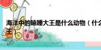 海洋中的瞌睡大王是什么动物(什么动物是海洋中的瞌睡大王)