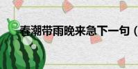春潮带雨晚来急下一句(原文及翻译)