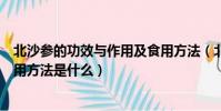 北沙参的功效与作用及食用方法(北沙参的功效与作用及食用方法是什么)