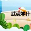 武魂学什么生活技能（是什么原因）