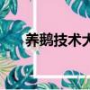 养鹅技术大全及方法（养鹅技术介绍）