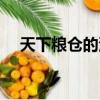 天下粮仓的演员（天下粮仓的演员有谁）