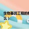 生物基因工程的概念是什么（生物基因工程的概念具体是什么）