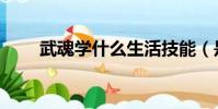 武魂学什么生活技能(是什么原因)
