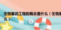 生物基因工程的概念是什么(生物基因工程的概念具体是什么)