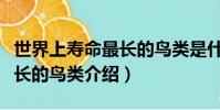 世界上寿命最长的鸟类是什么(世界上寿命最长的鸟类介绍)
