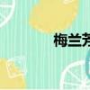 梅兰芳代表作（代表作介绍）
