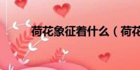 荷花象征着什么(荷花象征意义)