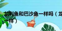 龙利鱼和巴沙鱼一样吗(龙利鱼和巴沙鱼一不一样)