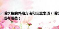 活水鱼的养殖方法和注意事项(活水鱼的养殖方法和注意事项有哪些)