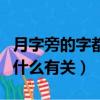 月字旁的字都和什么有关（月字旁的字具体和什么有关）