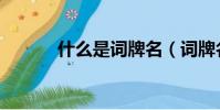 什么是词牌名(词牌名是什么)