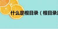 什么是根目录(根目录是什么意思)