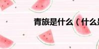 青旅是什么(什么是青旅)