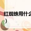 红蜘蛛用什么药最有效（红蜘蛛用啥药最有效）
