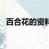 百合花的资料有哪些（百合花的资料介绍）