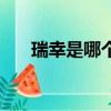 瑞幸是哪个国家的（瑞幸归哪个国家）