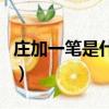 庄加一笔是什么字（庄加一笔到底是什么字呢）