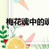 梅花魂中的魂是什么意思啊（梅花魂解析）