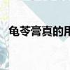 龟苓膏真的用乌龟做的吗（龟苓膏的做法）