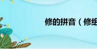 修的拼音(修组词)
