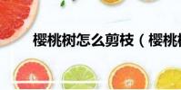 樱桃树怎么剪枝(樱桃树修剪方法)