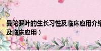 曼陀罗叶的生长习性及临床应用介绍(曼陀罗叶的生长习性及临床应用)