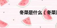 冬菜是什么(冬菜是咸菜)