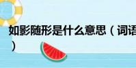 如影随形是什么意思(词语如影随形什么意思)