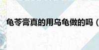 龟苓膏真的用乌龟做的吗(龟苓膏的做法)