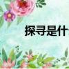 探寻是什么意思（探寻的意思简介）
