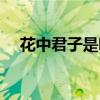 花中君子是哪四种花（花中君子是什么）