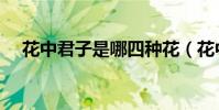 花中君子是哪四种花(花中君子是什么)