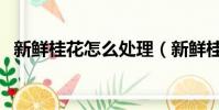 新鲜桂花怎么处理(新鲜桂花该如何处理)